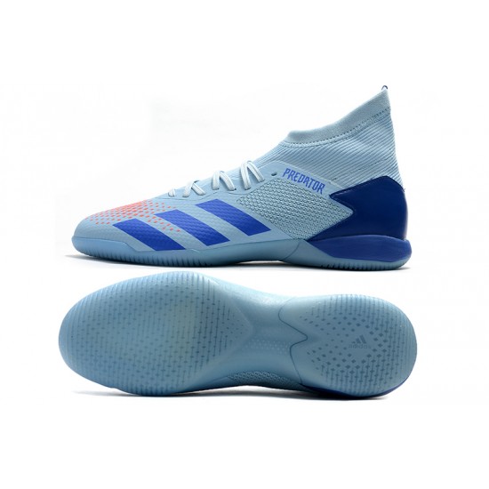 blue and orange predators